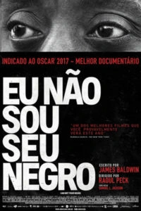 Eu Não Sou Seu Negro