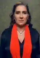 20170325 anna muylaert papo de cinema 1 e1490451152266