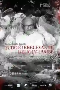 Tudo é Irrelevante: Helio Jaguaribe