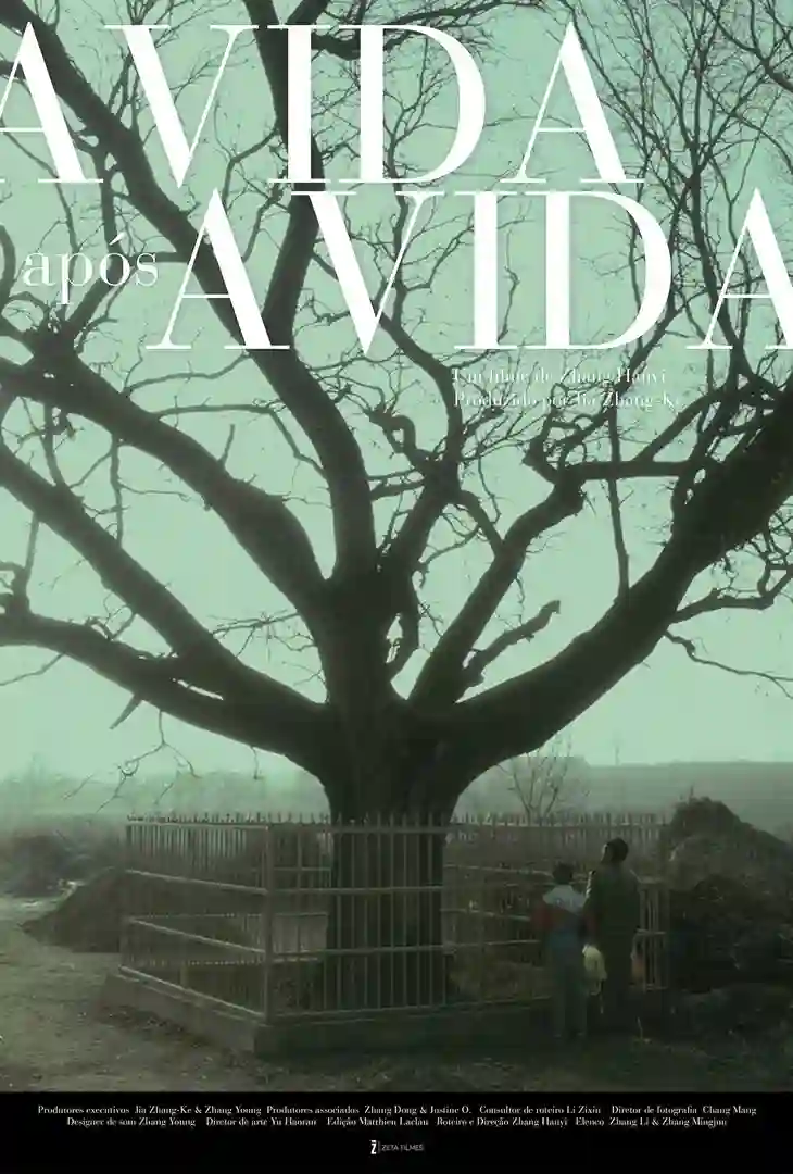 A Vida Após a Vida 24 20170505 a vida apos a vida papo de cinema cartaz