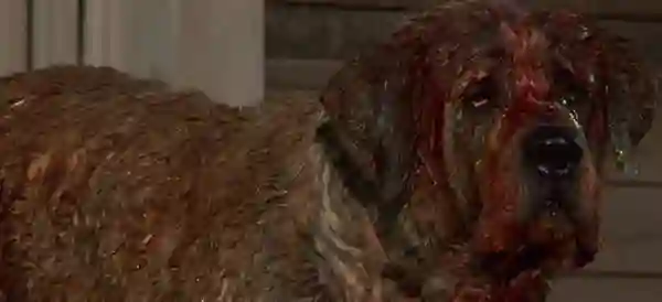 20170530 cujo papo de cinema 1