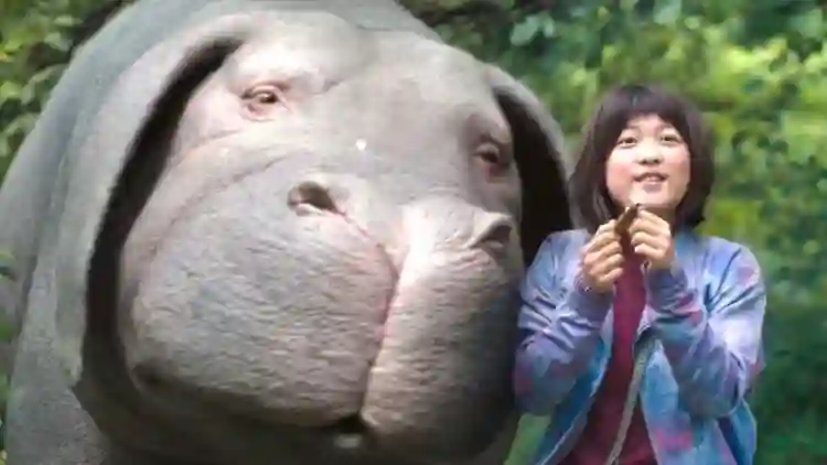 Netflix abandona o Festival de Cannes após mudança nas regras 2 20170628 okja papo de cinema 1