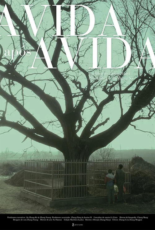 A Vida Após a Vida