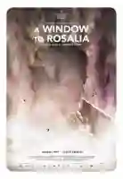 20170713 pela janela papo de cinema cartaz 1