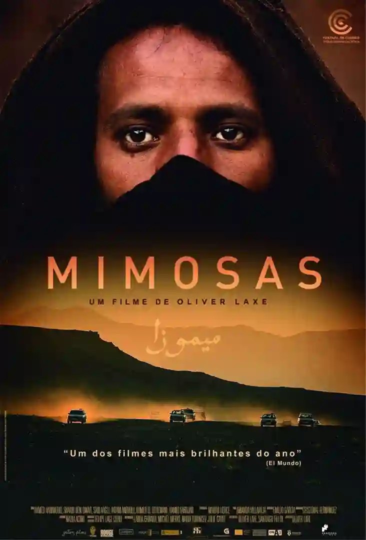 Mimosas