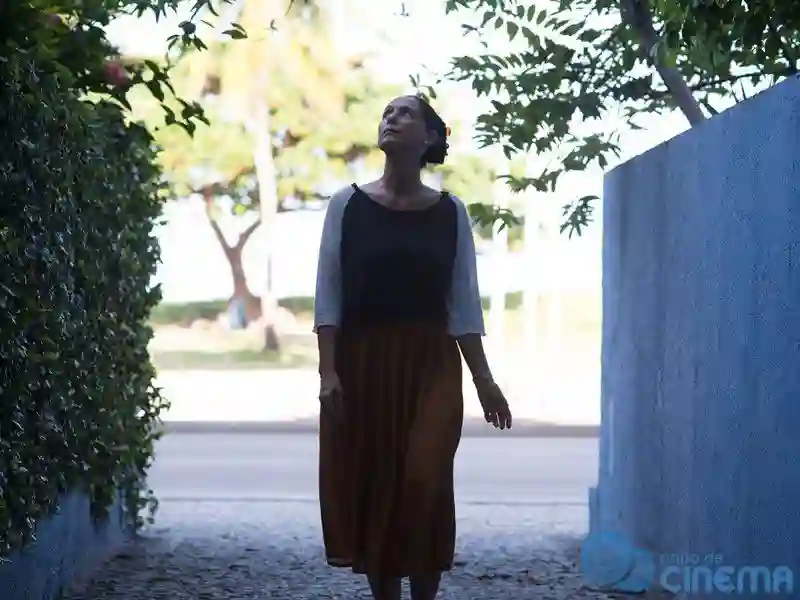 20170906 aquarius sonia braga destaque citacoes cinefilas copy