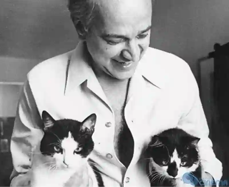20170911 cats paulo emilio