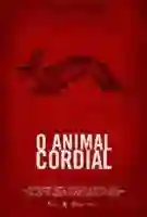 20180524 01 o animal cordial papo de cinema