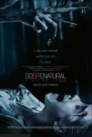 20180110 sobrenatural a ultima chave papo de cinema cartaz
