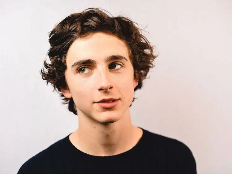 20180130 timothee chalamet papo de cinema