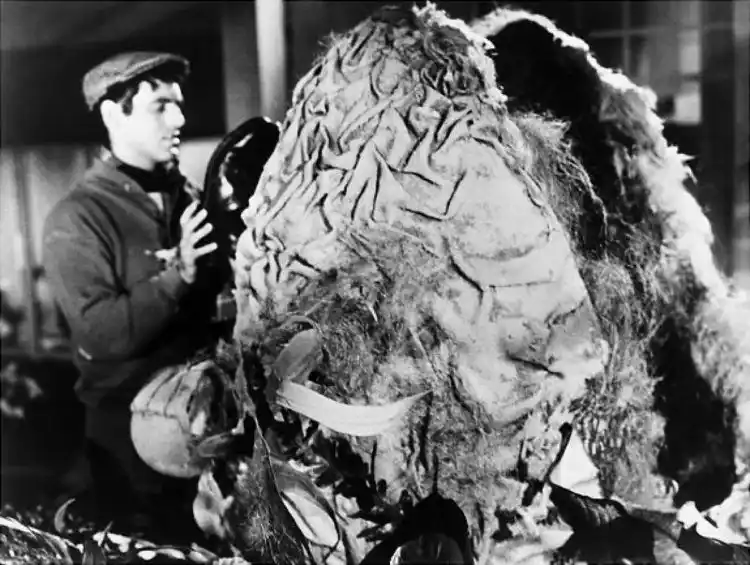 Ícone do cinema norte-americano, Roger Corman é processado pelos próprios filhos 2 20180404 pequena loja horrores papo de cinema