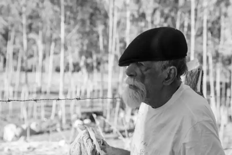 20180418 rogerio duarte papo de cinema 2