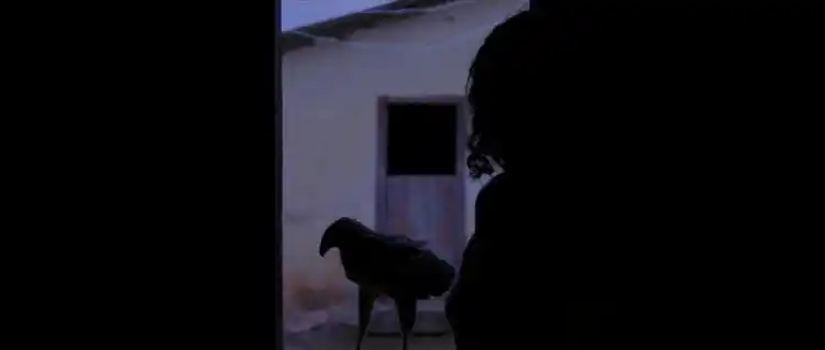 20180530 christabel papo de cinema 3