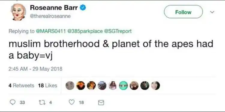 20180530 roseanne papo de cinema