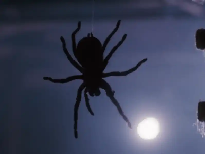 Vem aí o remake de Aracnofobia 3 20180612 aracnofobia papo de cinema
