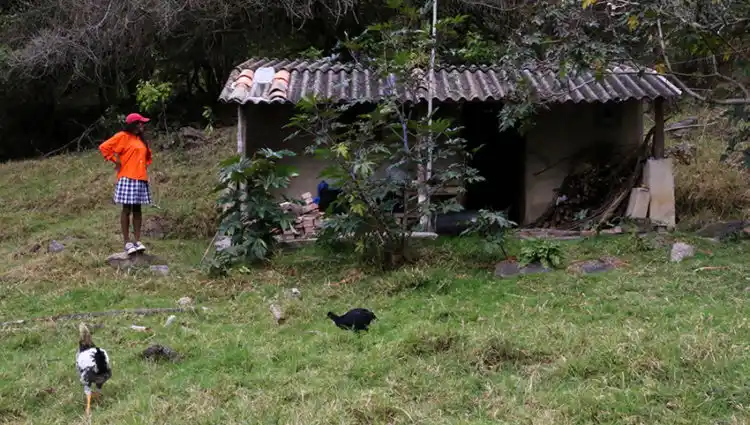20180811 01 senhorita maria papo de cinema e1534014940701