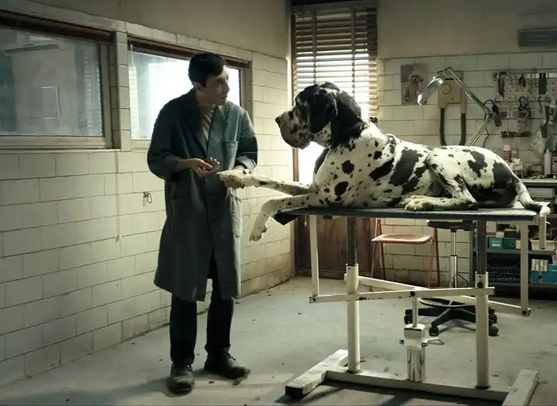20180723 dogman papo de cinema 800