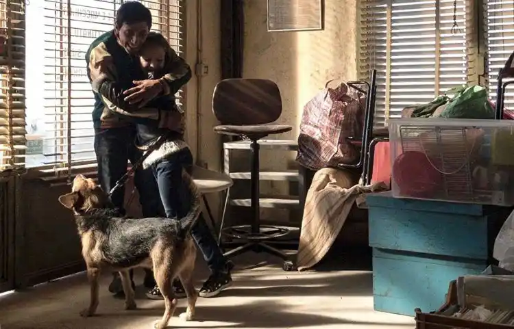 20180806 02 dogman papo de cinema e1533529191965