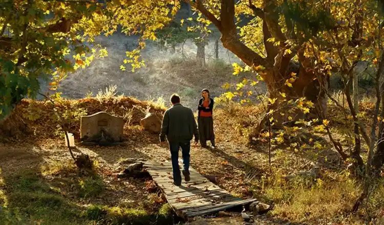 20190405 rvore frutos selvagens papo de cinema