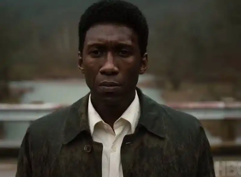 20181017 true detective papo de cinema 800 t3