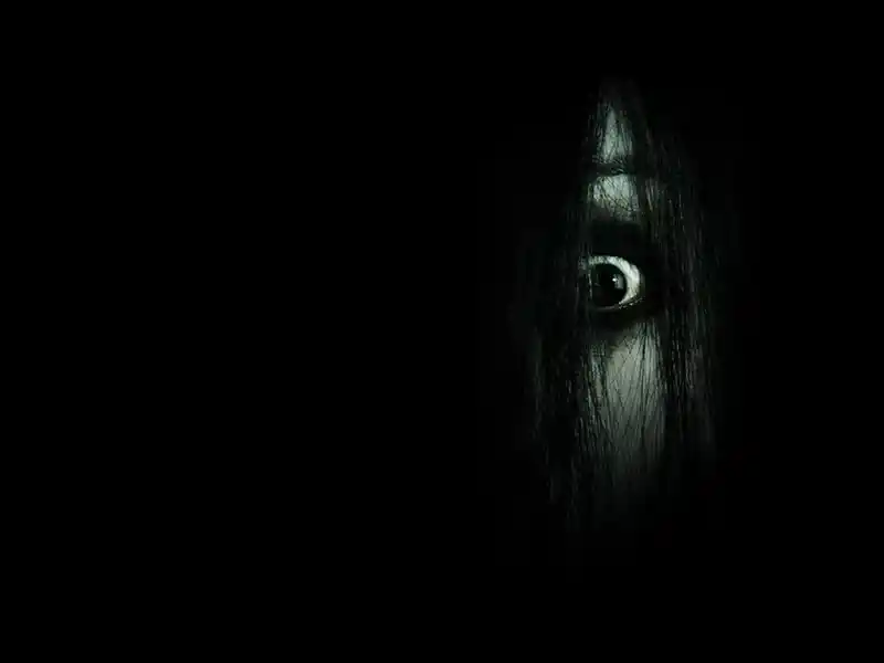 20181109 800 3