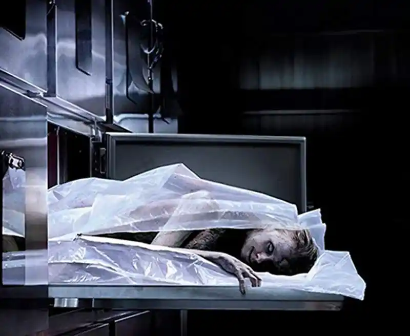 20181114 cadaver papo de cinema 800