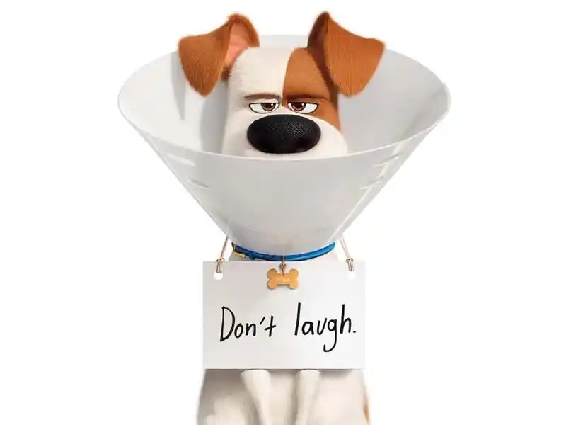 20190201 pets vida secretas bichos 2 papo de cinema