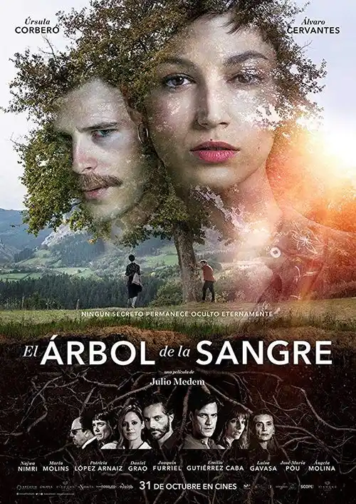 Streaming 13 Árvore de Sangue