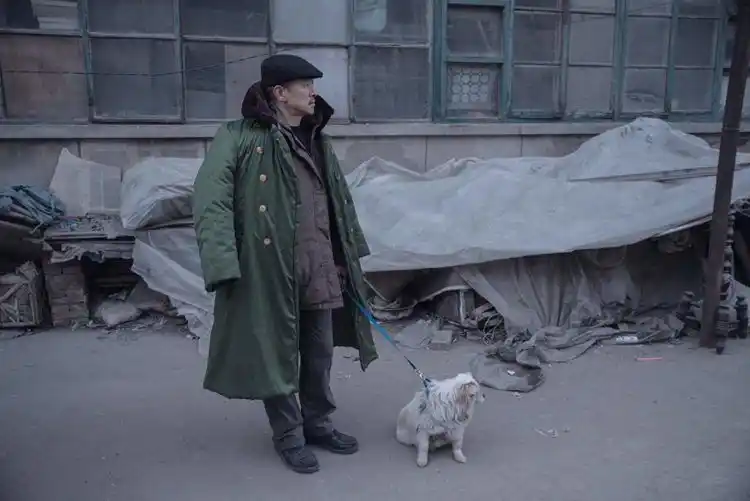 20190215 um elefante sentado quieto papo de cinema 4