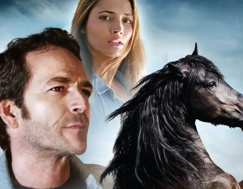 20190307 beleza negra papo de cinema 800