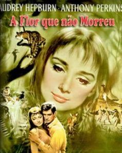 A Flor que Não Morreu