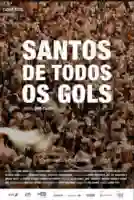 20190415 santos de todos os gols papo de cinema cartaz