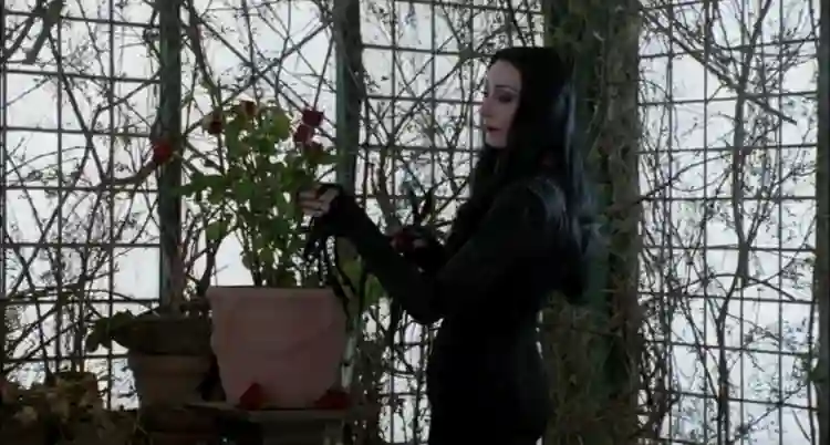 20190521 familia addams papo de cinema