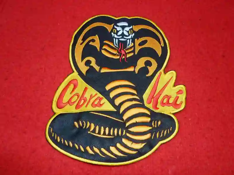 20190503 cobra kai papo de cinema
