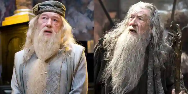 20190510 dumbledore gandalf papo de cinema