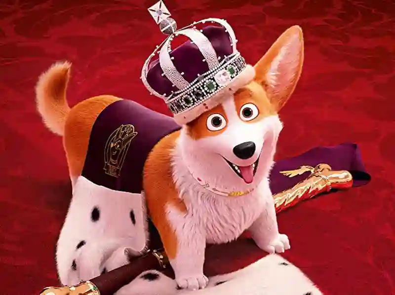 20190521 corgi top dog papo de cinema 800