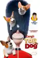 20190521 corgi top dog papo de cinema cartaz