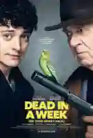 20190529 morto em uma semana papo de cinema cartaz