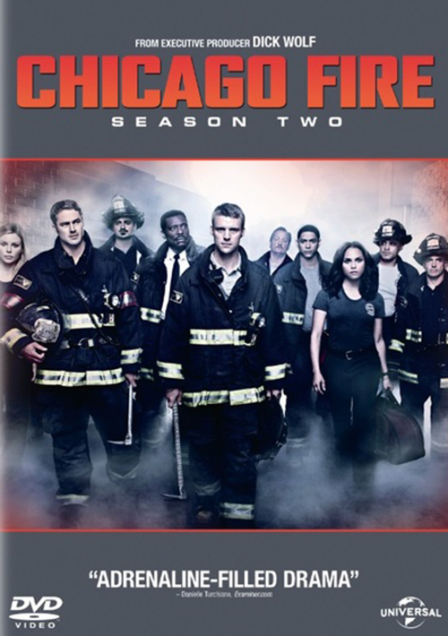 Assistir Chicago Fire: Heróis Contra o Fogo: 11x10 Online - Tua Serie