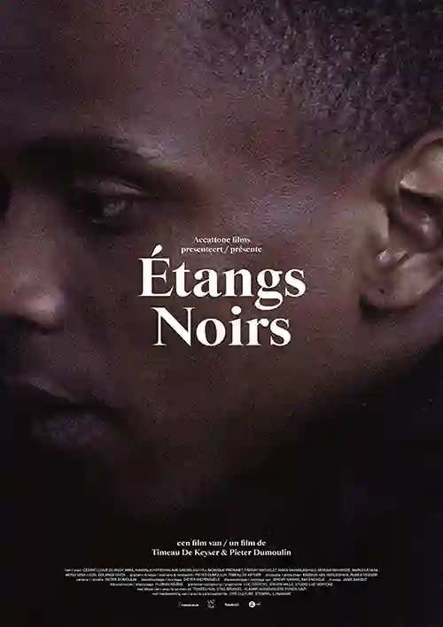 Filmes 20 Étangs Noirs