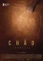 20190611 cho papo de cinema cartaz