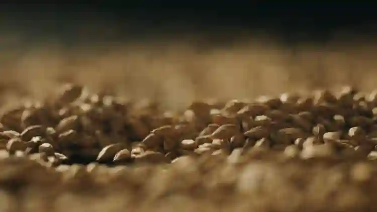 20190716 em busca da cerveja perfeita papo de cinema 5
