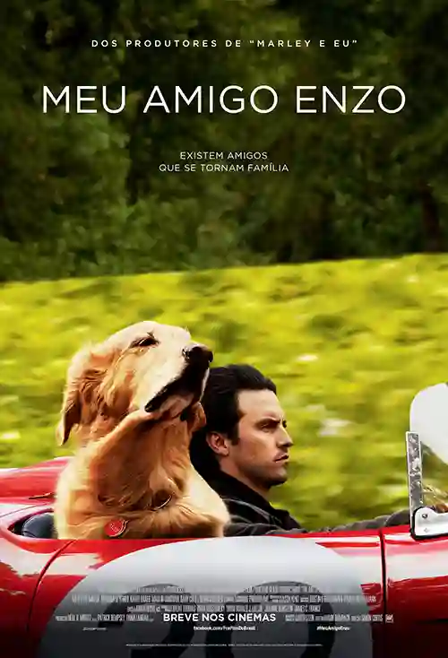 Críticas 18 Meu Amigo Enzo