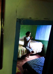 Vinillis Frutíferis