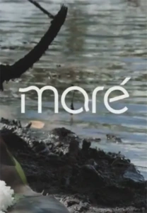 Maré