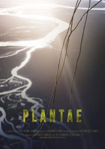 Plantae