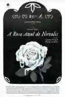20191210 a rosa azul de novalis papo de cinema cartaz