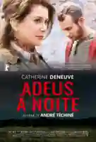 20190903 adeus noite papo de cinema cartaz