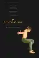 20190911 o pintassilgo papo de cinema cartaz