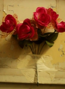 Arquitetura dos que Habitam